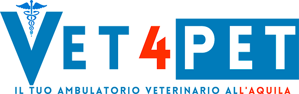 Vet4Pet - Veterinario L'Aquila