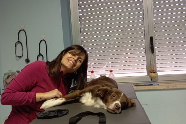 Cardiologia